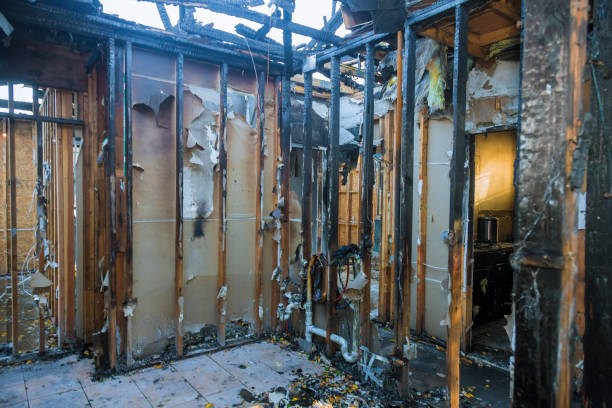 Professional Fire Damage Repair technician working in Andover, MN