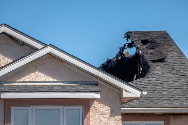 Top rated local Fire Damage Repair specialists in Andover, MN